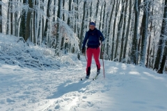 20201226_Laura_Schmauder_Roemerstein