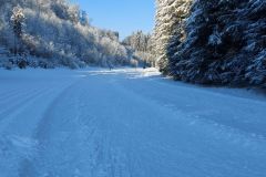 202101_YEP_Rinnental