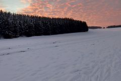 202101_YEP_Undingen